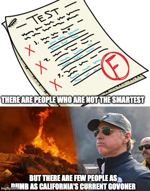 California's current govoner | THERE ARE PEOPLE WHO ARE NOT THE SMARTEST; BUT THERE ARE FEW PEOPLE AS DUMB AS CALIFORNIA'S CURRENT GOVONER | image tagged in california,california fires,dumb | made w/ Imgflip meme maker