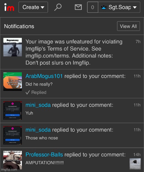 It wasn’t a slur, come on | image tagged in msmg | made w/ Imgflip meme maker