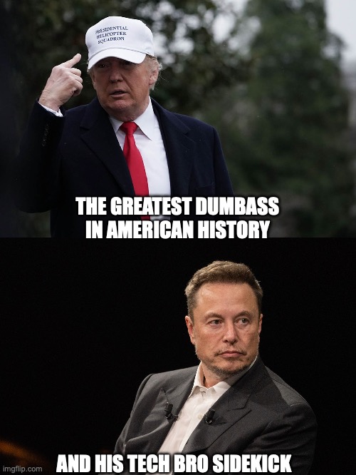 Greatest American dumbass | THE GREATEST DUMBASS IN AMERICAN HISTORY; AND HIS TECH BRO SIDEKICK | image tagged in donald trump,elon musk,president,president trump,dumb,evil | made w/ Imgflip meme maker