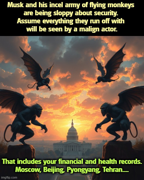 Musk may be sneaking away from Washington, but his damage will linger for generations. | Musk and his incel army of flying monkeys 
are being sloppy about security. 
Assume everything they run off with 
will be seen by a malign actor. That includes your financial and health records.
Moscow, Beijing, Pyongyang, Tehran.... | image tagged in elon musk,sloppy,bipolar,security,cybersecurity,secrets | made w/ Imgflip meme maker