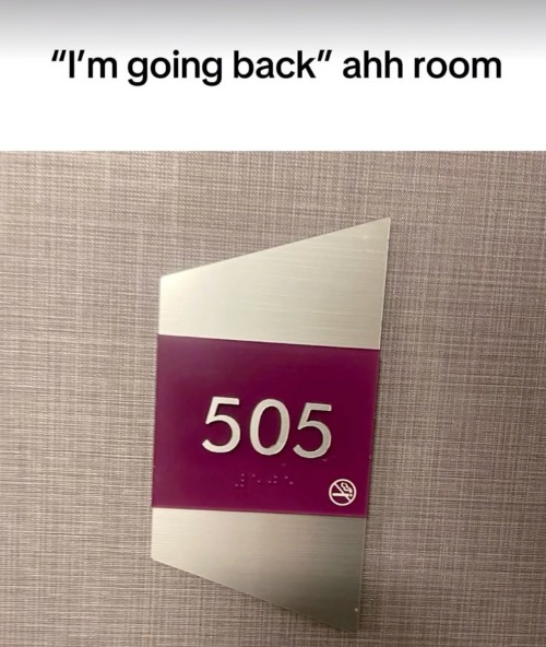 And I'm going back to 505 | made w/ Imgflip meme maker