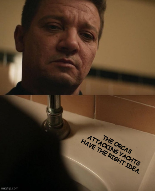 sink the rich | THE ORCAS ATTACKING YACHTS HAVE THE RIGHT IDEA. | image tagged in hawkeye | made w/ Imgflip meme maker