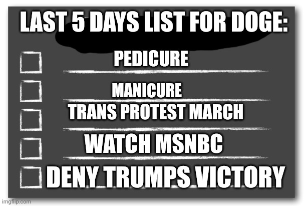 Sounds about right to me | LAST 5 DAYS LIST FOR DOGE:; PEDICURE; MANICURE; TRANS PROTEST MARCH; WATCH MSNBC; DENY TRUMPS VICTORY | image tagged in to do list | made w/ Imgflip meme maker