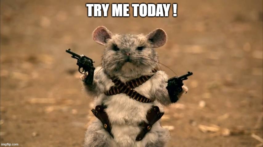 chinchilla warrior | TRY ME TODAY ! | image tagged in chinchilla warrior | made w/ Imgflip meme maker