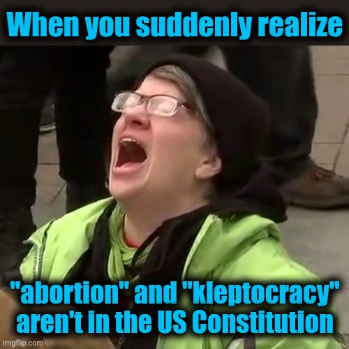 Crying liberal | When you suddenly realize "abortion" and "kleptocracy" aren't in the US Constitution | image tagged in crying liberal | made w/ Imgflip meme maker