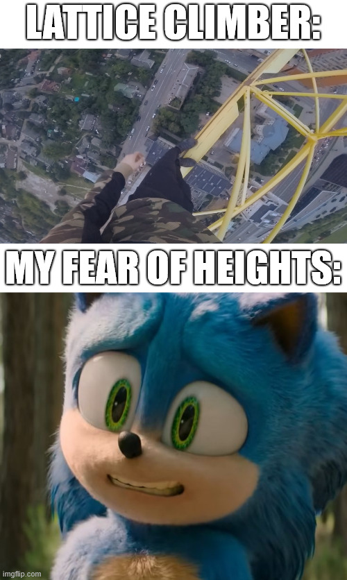 Sonic the Hedgehog | LATTICE CLIMBER:; MY FEAR OF HEIGHTS: | image tagged in shiey lattice climbing,lattice climbing,sonic meme,sonic the hedgehog,klettern,escalando | made w/ Imgflip meme maker