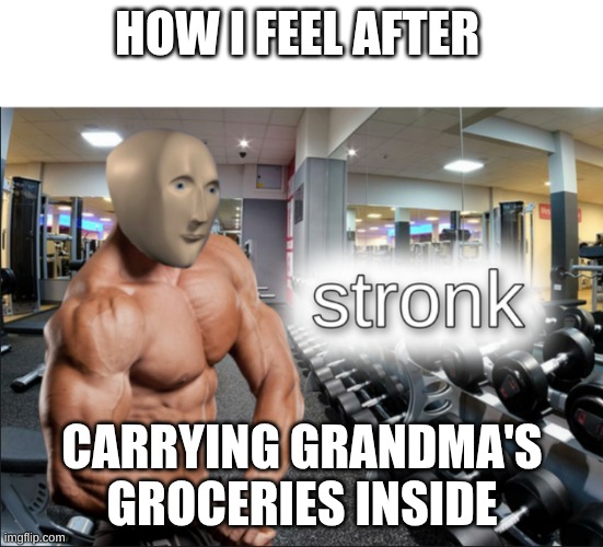 Yes Grandma, I am the strongest | HOW I FEEL AFTER; CARRYING GRANDMA'S GROCERIES INSIDE | image tagged in stronks | made w/ Imgflip meme maker