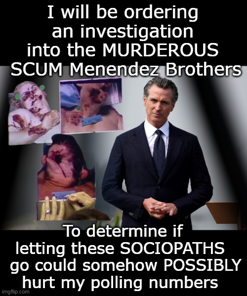 Two fine young lads just finding their way | I will be ordering an investigation into the MURDEROUS  SCUM Menendez Brothers; To determine if letting these SOCIOPATHS   go could somehow POSSIBLY hurt my polling numbers | image tagged in newsom investigation menendez poll numbers meme,might have gone on to cure cancer meme | made w/ Imgflip meme maker