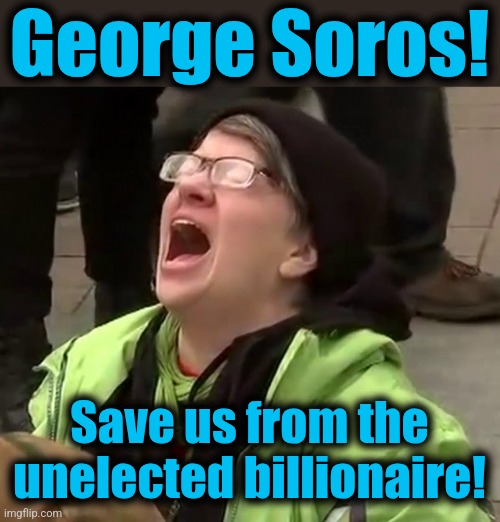 The democrats' only hope for 2028 | George Soros! Save us from the unelected billionaire! | image tagged in crying liberal,memes,george soros,democrats,elon musk,billionaires | made w/ Imgflip meme maker