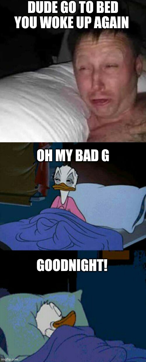My bad G! | DUDE GO TO BED
YOU WOKE UP AGAIN; OH MY BAD G; GOODNIGHT! | image tagged in sleepy guy,sleepy donald duck in bed | made w/ Imgflip meme maker