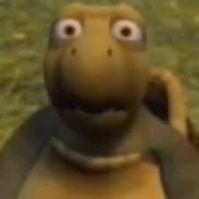 turtle Blank Meme Template