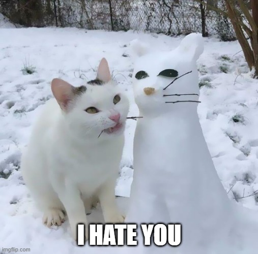 Snow Cat | I HATE YOU | image tagged in cats | made w/ Imgflip meme maker