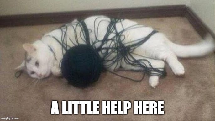 Yarn Cat | A LITTLE HELP HERE | image tagged in cats | made w/ Imgflip meme maker