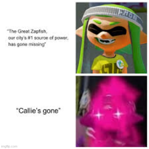 Oh nah did she just say Callie's gone | image tagged in splatoon | made w/ Imgflip meme maker