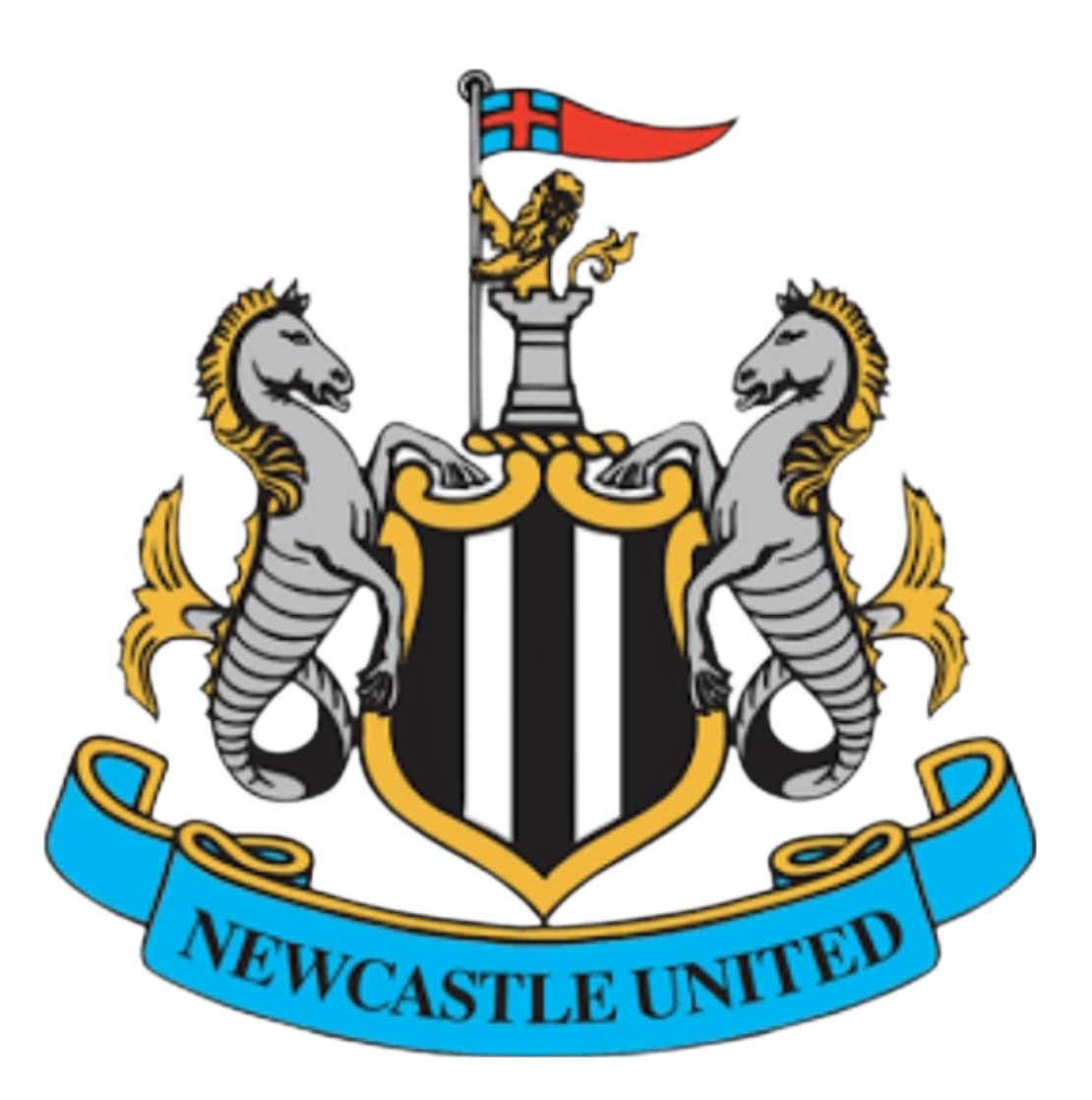 Newcastle Blank Meme Template