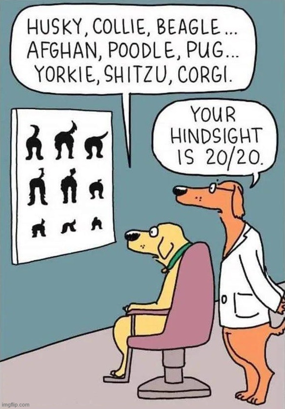 Hind sight | image tagged in comics/cartoons | made w/ Imgflip meme maker