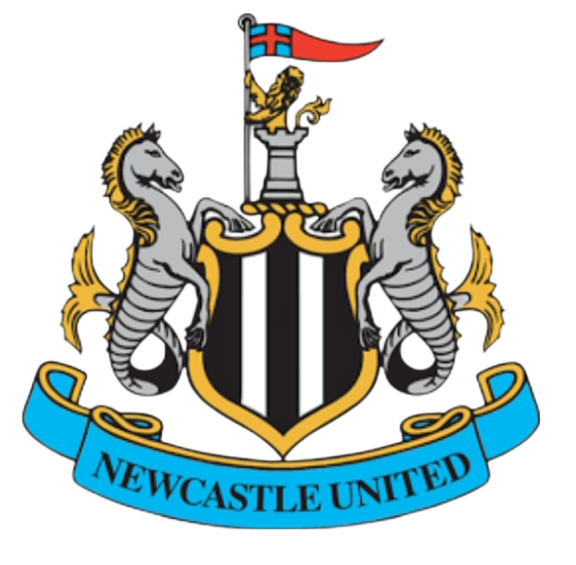 Newcastle Blank Meme Template