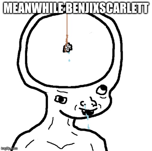 MEANWHILE BENJIXSCARLETT | image tagged in dumb wojak | made w/ Imgflip meme maker