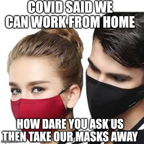 Mask Couple | COVID SAID WE CAN WORK FROM HOME HOW DARE YOU ASK US
THEN TAKE OUR MASKS AWAY | image tagged in mask couple | made w/ Imgflip meme maker