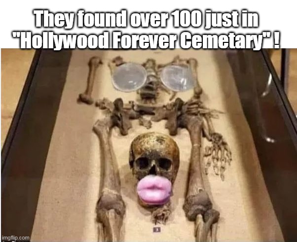 They found over 100 just in
"Hollywood Forever Cemetary" ! | made w/ Imgflip meme maker