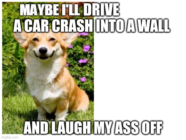 corgi memes | DRIVE
A CAR CRASH INTO A WALL; AND LAUGH MY ASS OFF | image tagged in 2025 | made w/ Imgflip meme maker