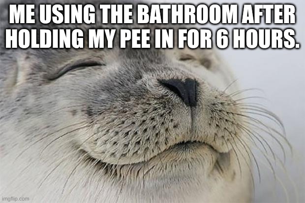 Satisfied Seal | ME USING THE BATHROOM AFTER HOLDING MY PEE IN FOR 6 HOURS. | image tagged in memes,satisfied seal | made w/ Imgflip meme maker