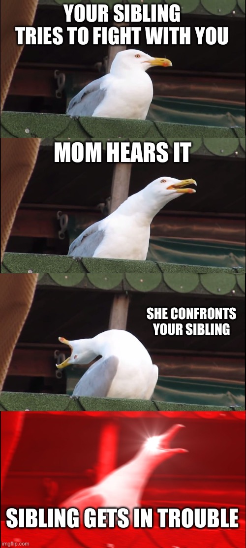 Inhaling Seagull Meme | YOUR SIBLING TRIES TO FIGHT WITH YOU; MOM HEARS IT; SHE CONFRONTS YOUR SIBLING; SIBLING GETS IN TROUBLE | image tagged in memes,inhaling seagull | made w/ Imgflip meme maker