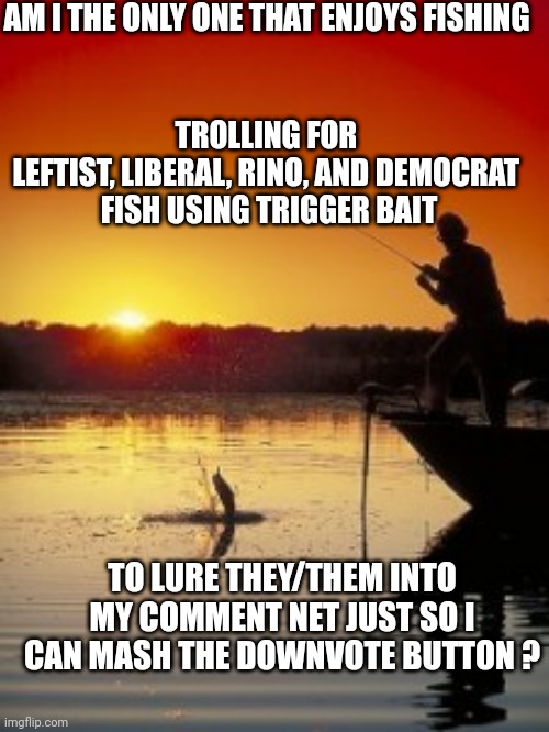 Catfish and other bottom feeders | AM I THE ONLY ONE THAT ENJOYS FISHING; TROLLING FOR 
LEFTIST, LIBERAL, RINO, AND DEMOCRAT 
FISH USING TRIGGER BAIT; TO LURE THEY/THEM INTO MY COMMENT NET JUST SO I CAN MASH THE DOWNVOTE BUTTON ? | image tagged in fishing,rino,leftists,liberals,democrats,trolling | made w/ Imgflip meme maker