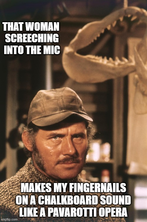 Captain Quint | THAT WOMAN 
SCREECHING
INTO THE MIC MAKES MY FINGERNAILS
ON A CHALKBOARD SOUND
LIKE A PAVAROTTI OPERA | image tagged in captain quint | made w/ Imgflip meme maker