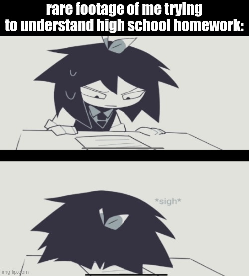 its a bore, trust me | rare footage of me trying to understand high school homework: | image tagged in abbie struggling with homework | made w/ Imgflip meme maker