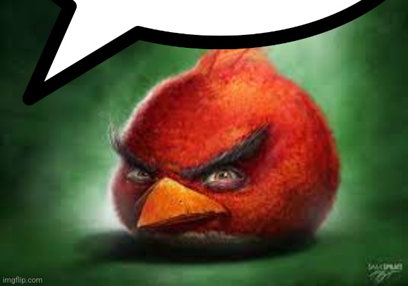 Realistic Red Angry Birds | image tagged in realistic red angry birds | made w/ Imgflip meme maker