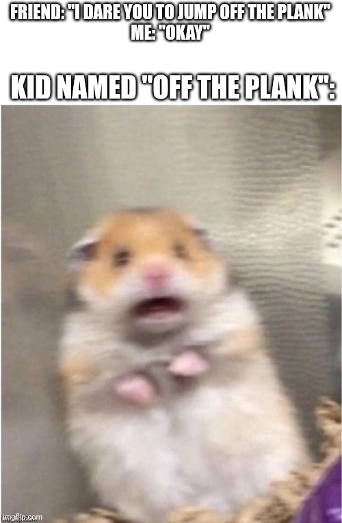 HELP!!!! | FRIEND: "I DARE YOU TO JUMP OFF THE PLANK"
ME: "OKAY"; KID NAMED "OFF THE PLANK": | image tagged in scared hamster,help,humor,oh wow are you actually reading these tags | made w/ Imgflip meme maker