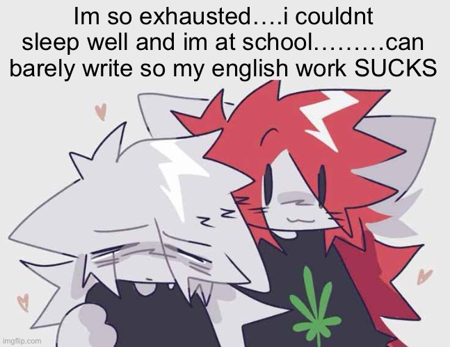 Im so exhausted….i couldnt sleep well and im at school………can barely write so my english work SUCKS | made w/ Imgflip meme maker