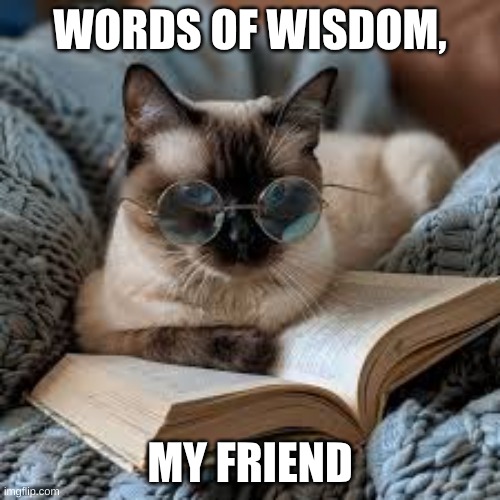 The words of wisdom. | WORDS OF WISDOM, MY FRIEND | image tagged in memes | made w/ Imgflip meme maker