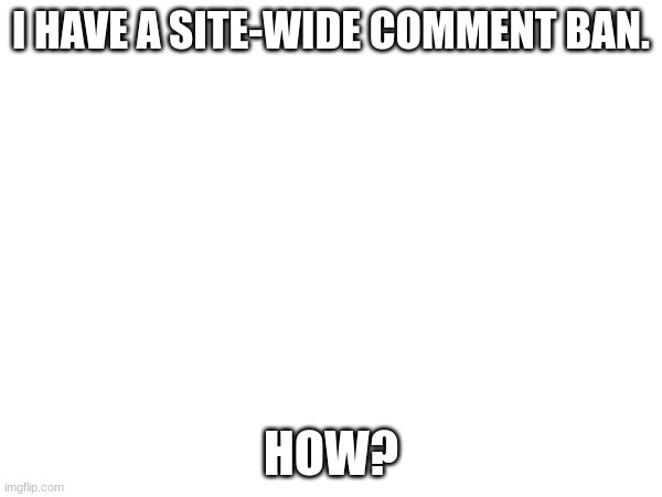 *Bad title* | I HAVE A SITE-WIDE COMMENT BAN. HOW? | image tagged in blank | made w/ Imgflip meme maker