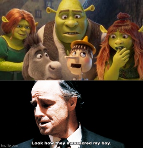 Bro...what? | image tagged in look how they massacred my boy,shrek,shrek 5,not my shrek,memes | made w/ Imgflip meme maker