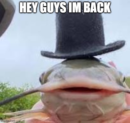 fish | HEY GUYS IM BACK | image tagged in fish | made w/ Imgflip meme maker