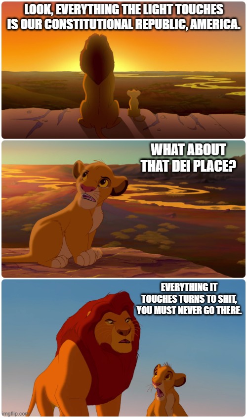 DEI makes everything shit. | LOOK, EVERYTHING THE LIGHT TOUCHES IS OUR CONSTITUTIONAL REPUBLIC, AMERICA. WHAT ABOUT THAT DEI PLACE? EVERYTHING IT TOUCHES TURNS TO SHIT, YOU MUST NEVER GO THERE. | image tagged in lionking | made w/ Imgflip meme maker