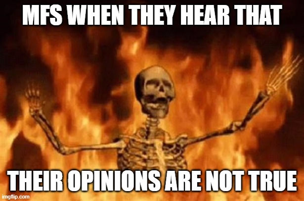 wow | MFS WHEN THEY HEAR THAT; THEIR OPINIONS ARE NOT TRUE | image tagged in burning skeleton | made w/ Imgflip meme maker