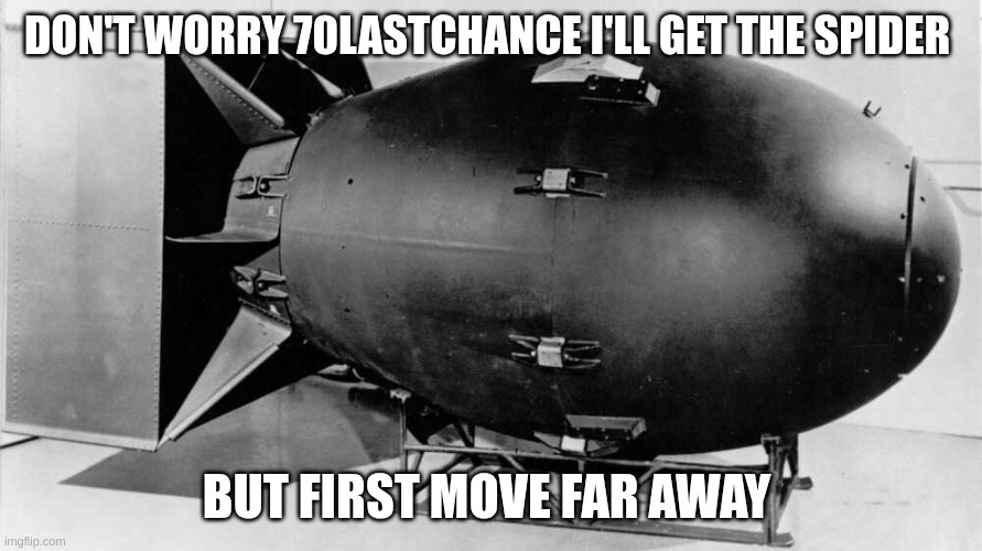 DON'T WORRY 70LASTCHANCE I'LL GET THE SPIDER BUT FIRST MOVE FAR AWAY | made w/ Imgflip meme maker