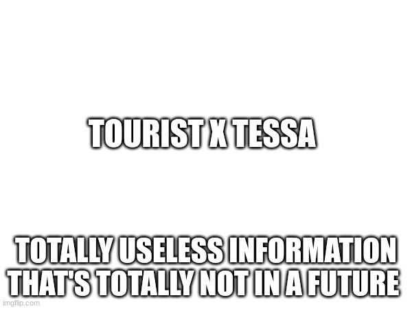 Usless information thats toattaly not a future oc and lore of mine | TOURIST X TESSA; TOTALLY USELESS INFORMATION THAT'S TOTALLY NOT IN A FUTURE | made w/ Imgflip meme maker