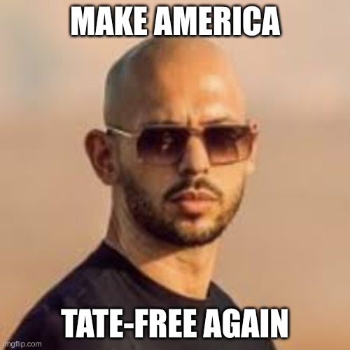 Should have shot his plane out of the sky... | MAKE AMERICA; TATE-FREE AGAIN | image tagged in andrew tate | made w/ Imgflip meme maker