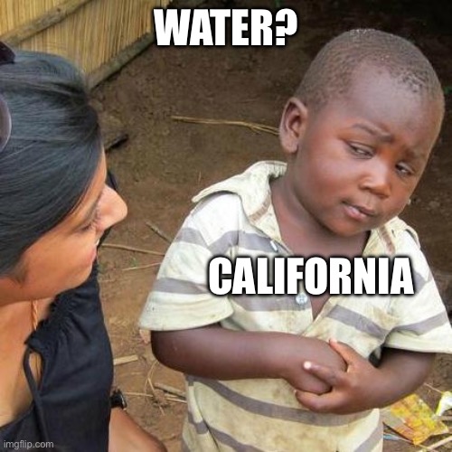 Who needs it? | WATER? CALIFORNIA | image tagged in memes,third world skeptical kid,california | made w/ Imgflip meme maker