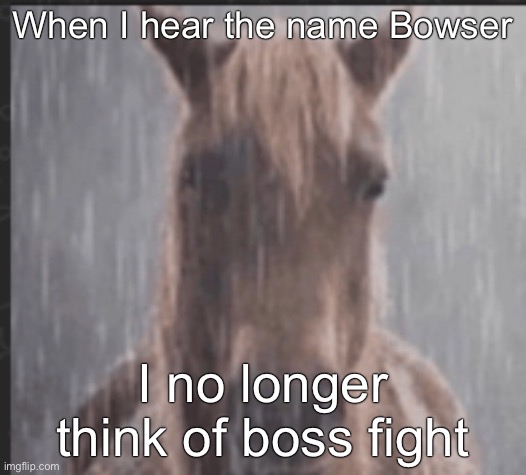 sad horse | When I hear the name Bowser; I no longer think of boss fight | image tagged in sad horse | made w/ Imgflip meme maker