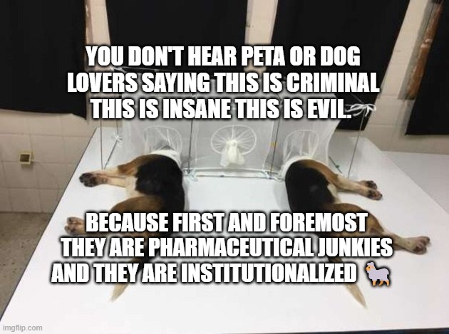 Anthony Fauci Loves Dogs and People | YOU DON'T HEAR PETA OR DOG LOVERS SAYING THIS IS CRIMINAL THIS IS INSANE THIS IS EVIL. BECAUSE FIRST AND FOREMOST THEY ARE PHARMACEUTICAL JUNKIES AND THEY ARE INSTITUTIONALIZED 🐑 | image tagged in anthony fauci loves dogs and people | made w/ Imgflip meme maker