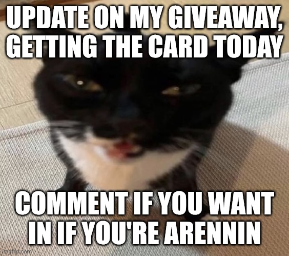 Laving rn | UPDATE ON MY GIVEAWAY, GETTING THE CARD TODAY; COMMENT IF YOU WANT IN IF YOU'RE ARENNIN | image tagged in cat of anger | made w/ Imgflip meme maker