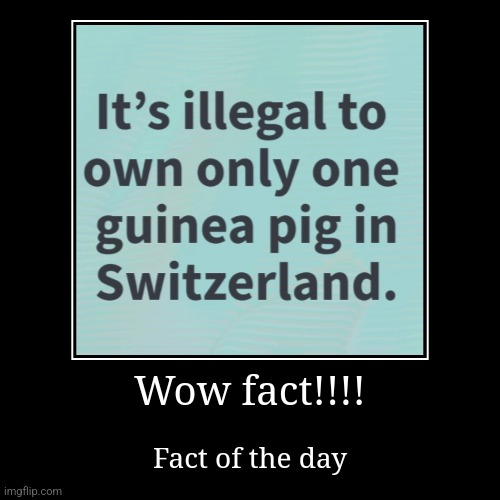 Wow fact!!!! | Fact of the day | image tagged in funny,fact of the day,fotd,fact,fun fact,fun fact of the day | made w/ Imgflip demotivational maker