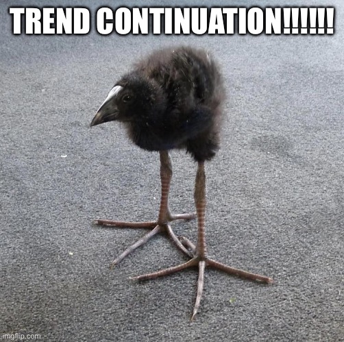 Pukeko chick | TREND CONTINUATION!!!!!! | image tagged in pukeko chick | made w/ Imgflip meme maker