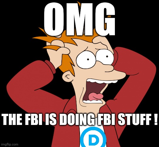 Futurama Fry Screaming | OMG THE FBI IS DOING FBI STUFF ! | image tagged in futurama fry screaming | made w/ Imgflip meme maker