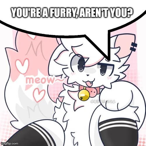 femboy boykisser speech bubble | YOU'RE A FURRY, AREN'T YOU? | image tagged in femboy boykisser speech bubble | made w/ Imgflip meme maker